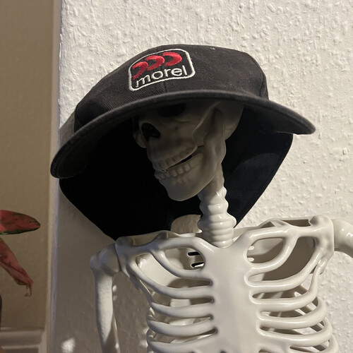 Black hat with Morel logo