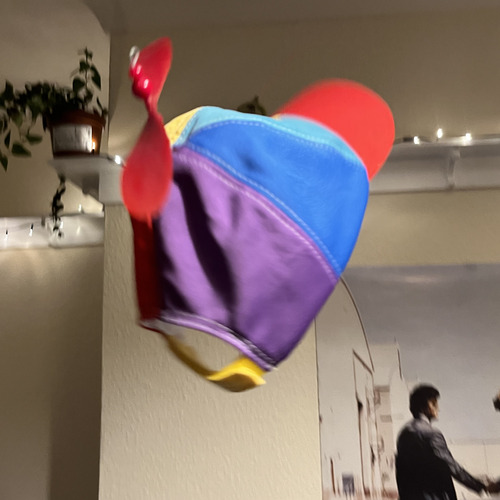Image of propeller hat.